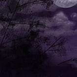 โ เฝเฝฒ๐คเฝเพ โ